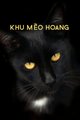 Truyện Khu Mèo Hoang